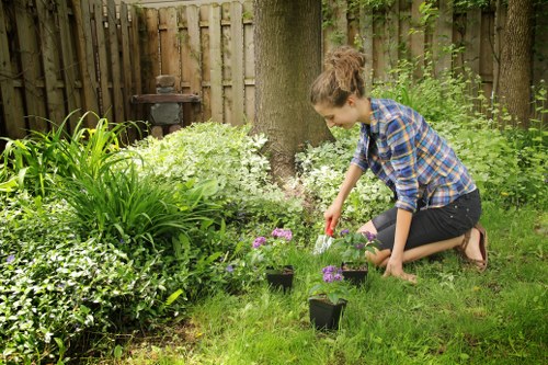 Professional lawn care service at work in Dulwich