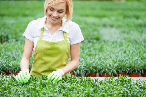 Eco-friendly composite decking options