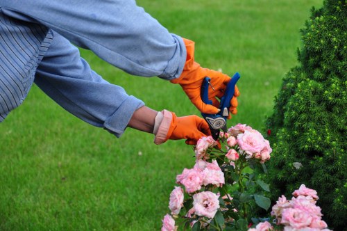 Eco-friendly lawn care practices in Dulwich