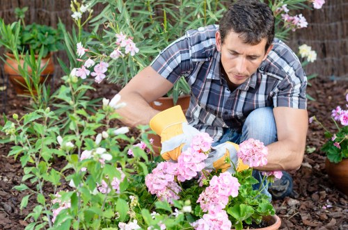 Professional landscaper working in Dulwich garden